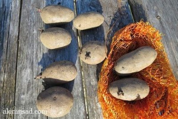 Кракен официальная ссылка зеркало
