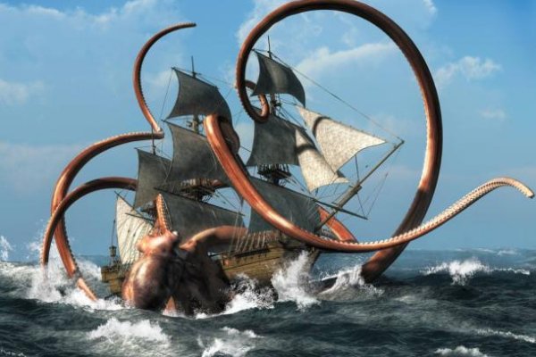 Kraken 20at net