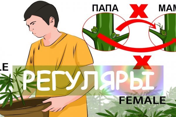 Кракен официальная ссылка зеркало