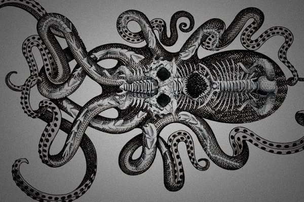 Kraken домен