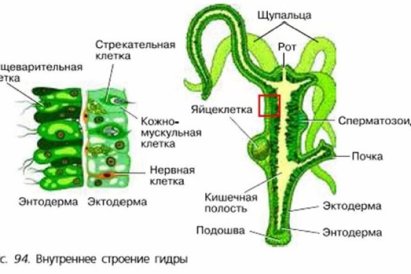 Kraken зеркало kraken dark link