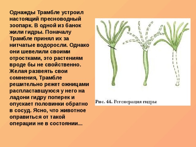 Как зарегистрироваться на кракене
