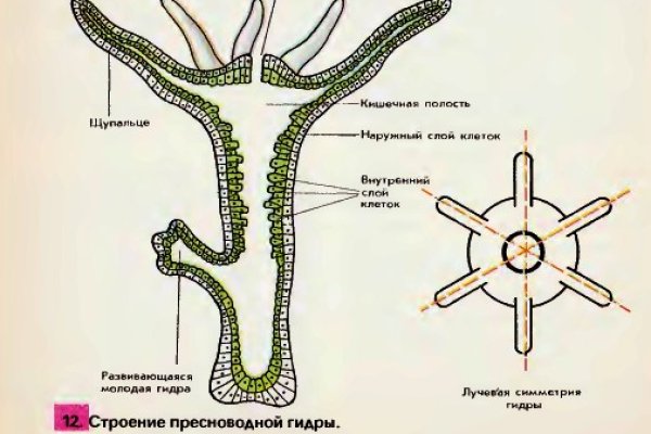 Кракен переход