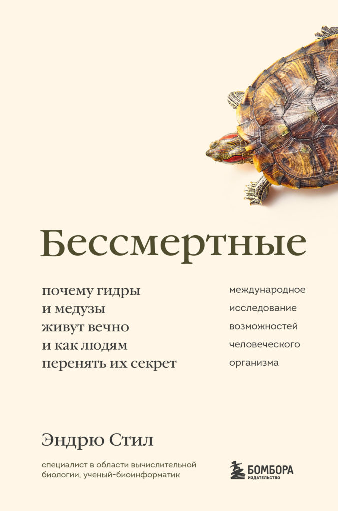 Кракен открылся