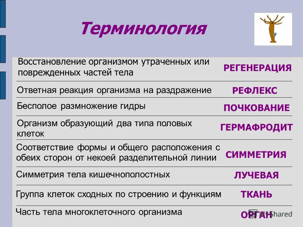 Кракен магазин наркотиков